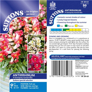 Antirrhinum F1 Antiquity Sunset Mix
